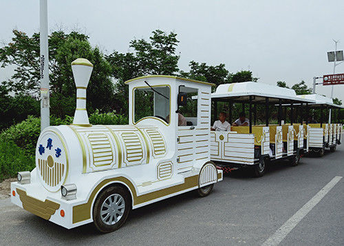 Fashion Carnival Train Ride Color Customized Electric Tourist Train With LED Light